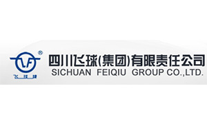 四川(chuan)飛球（集團）有(yǒu)限責任公司(sī)