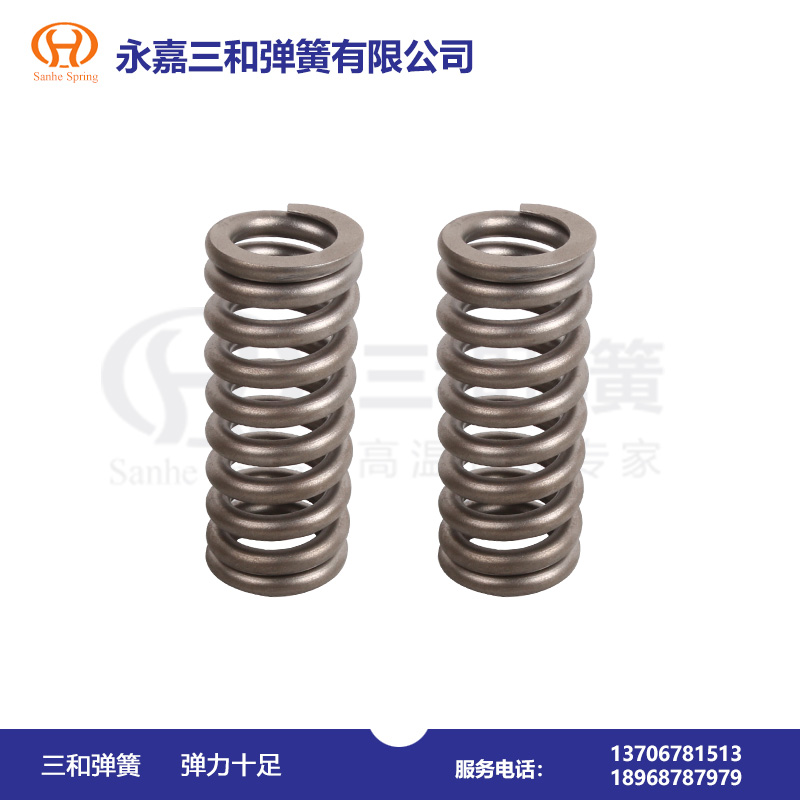 耐醋酸腐(fu)蝕彈簧